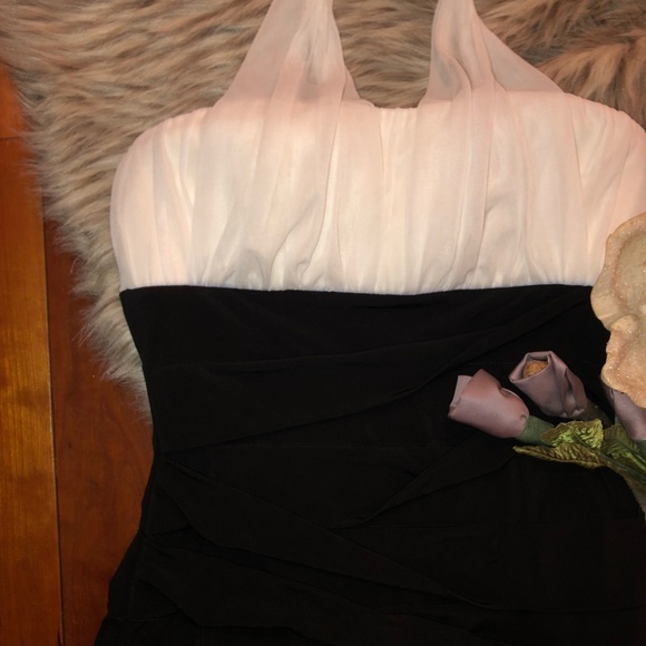 NWT! Black and white dress - Picture 4 of 8
